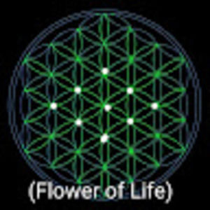 Meet your Posher, Zak